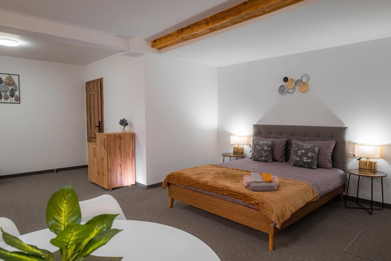 The Dom 21 Apartment Cluj-Napoca Exterior photo